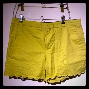 Cute Scalloped Banana Republic shorts